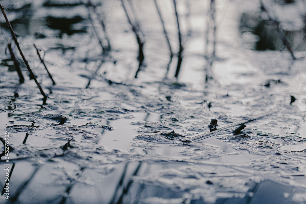 Obraz premium Swampy destination. Dirty water, broken trees. Bog place. Reflection in the water. Marsh green grass. Blue grey brown. Blue water. Rainforest swamp. Natural scenery. Mangrove in lake. Swamp in forest
