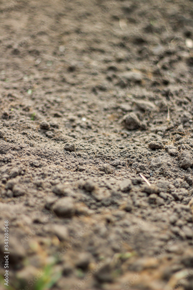 Selective focus of the soil, blurry edges, side view Selective focus of the soil, blurry edges, side view