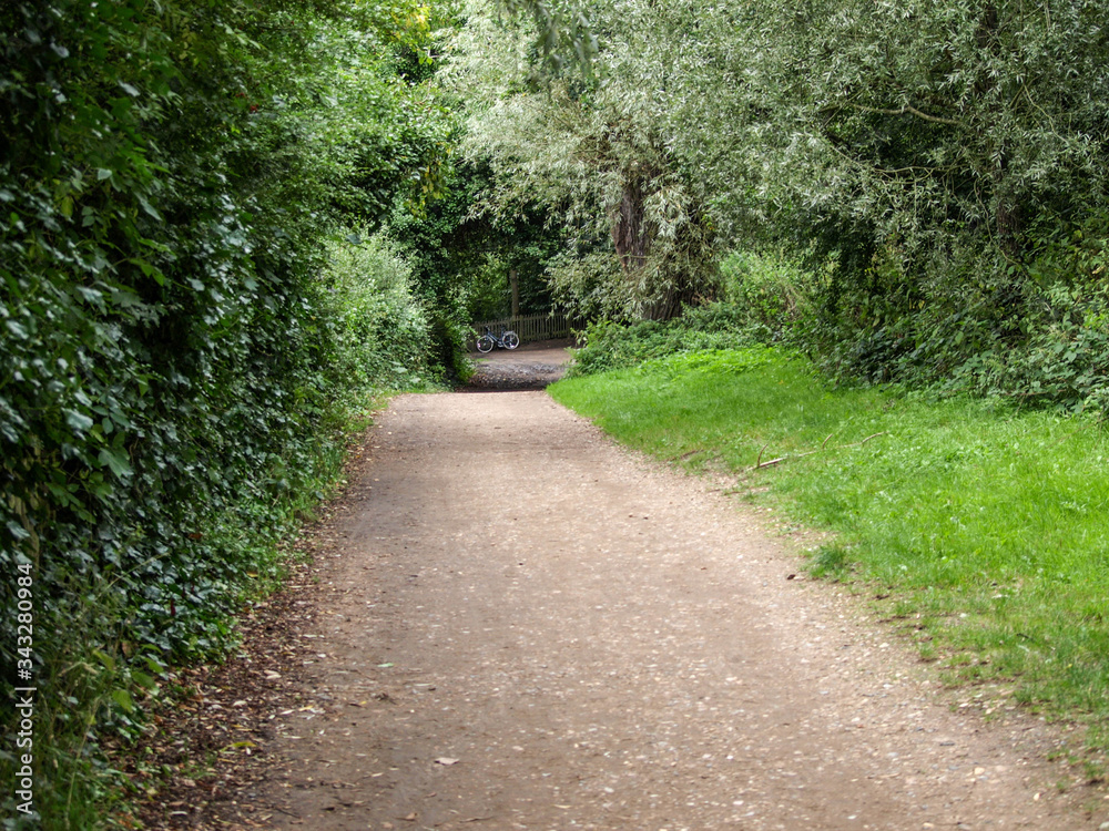 Footpath in the park