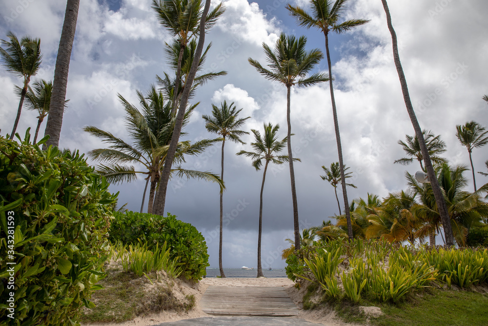 Palm Beach in Caribbean