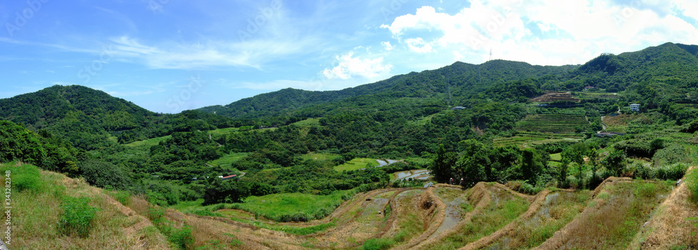 Sunny view of the Rice terrace in Shimen area