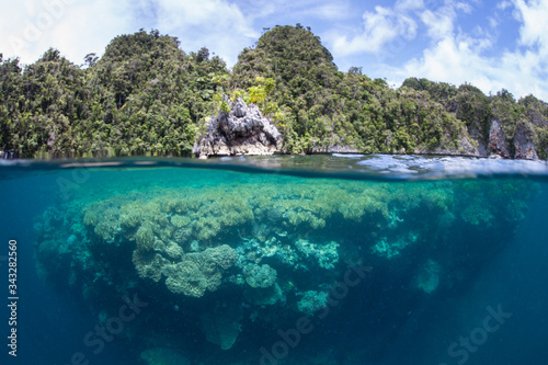 Photography Healthy coral reefs abound throughout the incredible islands of Raja Ampat, Indonesia