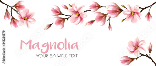 Abstract spring background with beautiful magnolia branches. Vector.