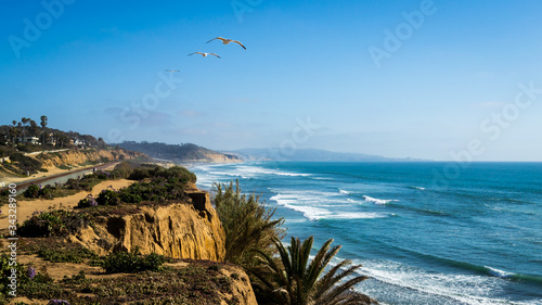 Mid day landscape photo of seagulls flying in the air on the coast by the Pacific ocean in San Diego California