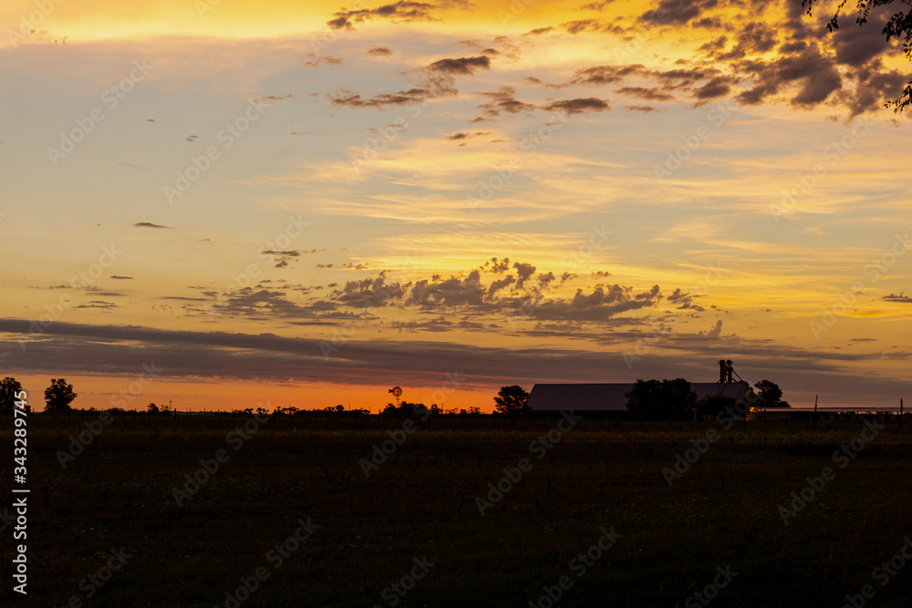Colorful rural scene view during summer sunset in the field