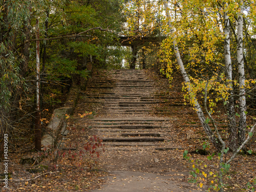 Staircase from the lake, taken by nature, to cafe in Pripyat, ghost town in Chernobyl Exclusion Zone. Ukraine