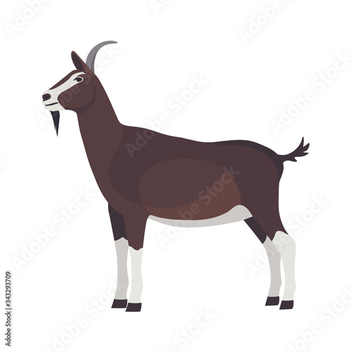 Farm Animals Goat Vector Illustration