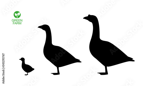 Farm animals goose icon set vector illustration