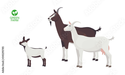 Farm Animals Goat Set Vector Illustration
