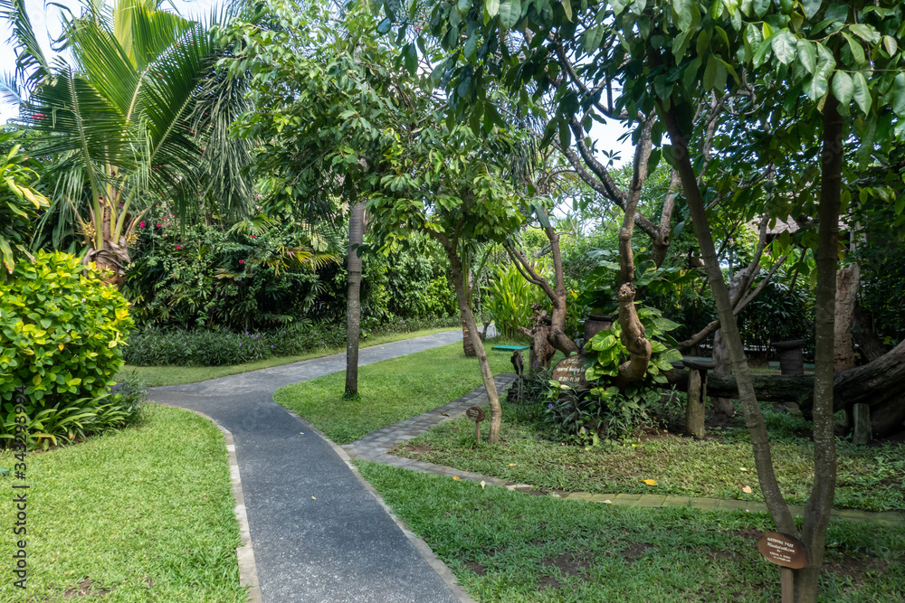 Paved pathway through the beautiful well manicured landscaped tropical gardens in Legian Bali