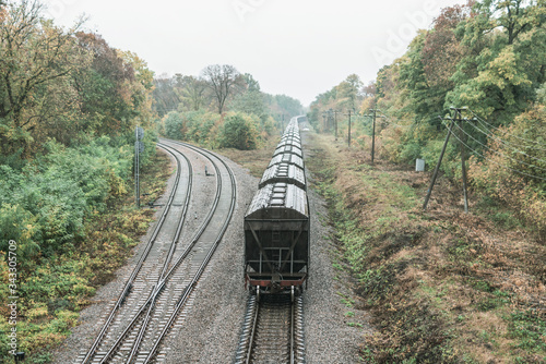 Train with freight wagons on the railway in the forest