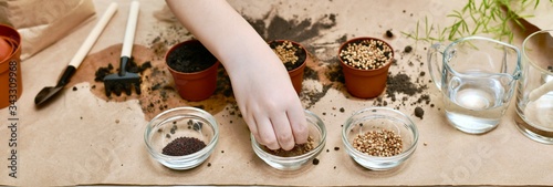 The baby hand takes the seeds from the cup to plant in pots.