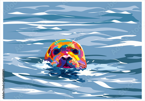Sea seal on the water