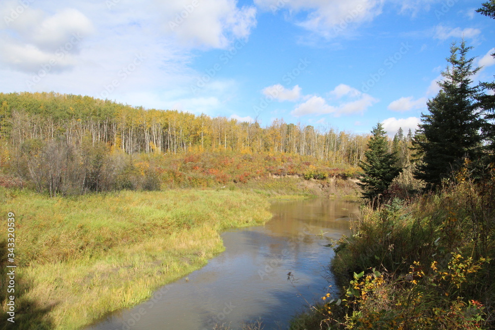 Beauty Along The Backcountry, Whitemud Park, Edmonton, Alberta Beauty Along The Backcountry, Whitemud Park, Edmonton, Alberta