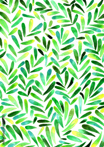 Green fern leaves watercolor hand painting background for decoration on spring season.