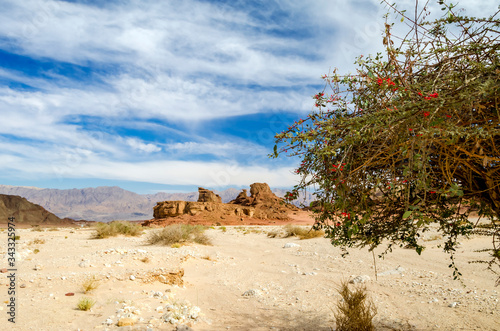 Sphinx in desert of the Negev in geological nature park Timna 25 km north of Eilat - famous tourist resort city in Israel