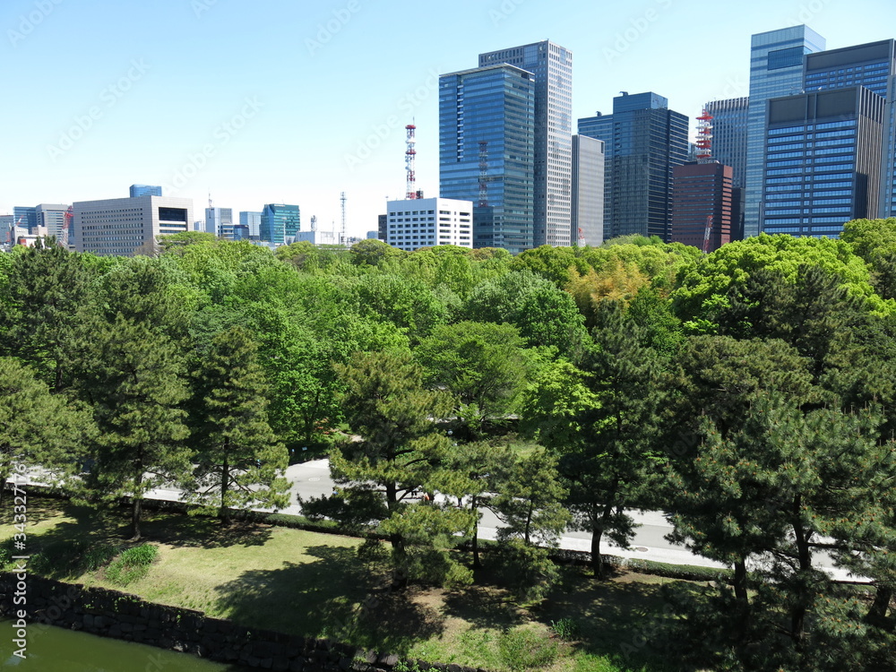 皇居東御苑の展望台からの眺め（大手町のビル群）　View from Observatory (The East Gardens of the Imperial Palace)