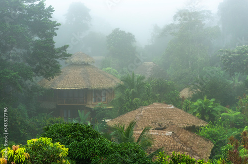 Fototapeta Naklejka Na Ścianę i Meble -  Amazon Jungle Lodge in the morning fog, Yasuni national park, Ecuador.