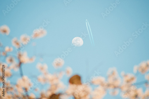 spring in the sky © Mieko