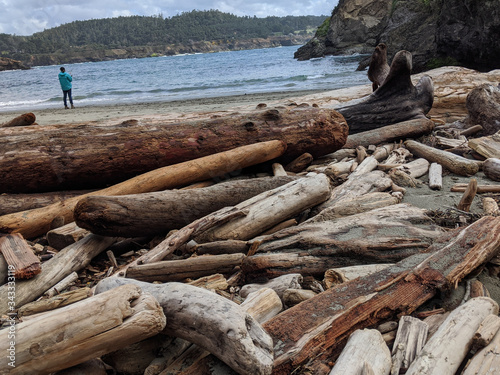 Driftwood and Fisherman Overlooking the Ocean