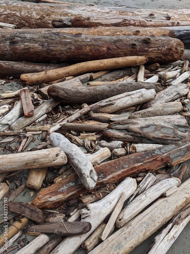 Vertical Driftwood by the Shore