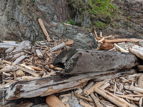 Driftwood and Big Log