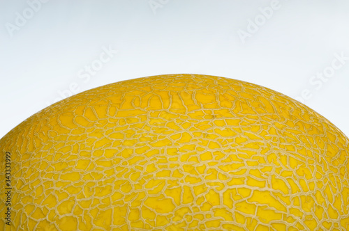 part of golden cantalope on white background in narrow focus and bury some part of surface of it photo