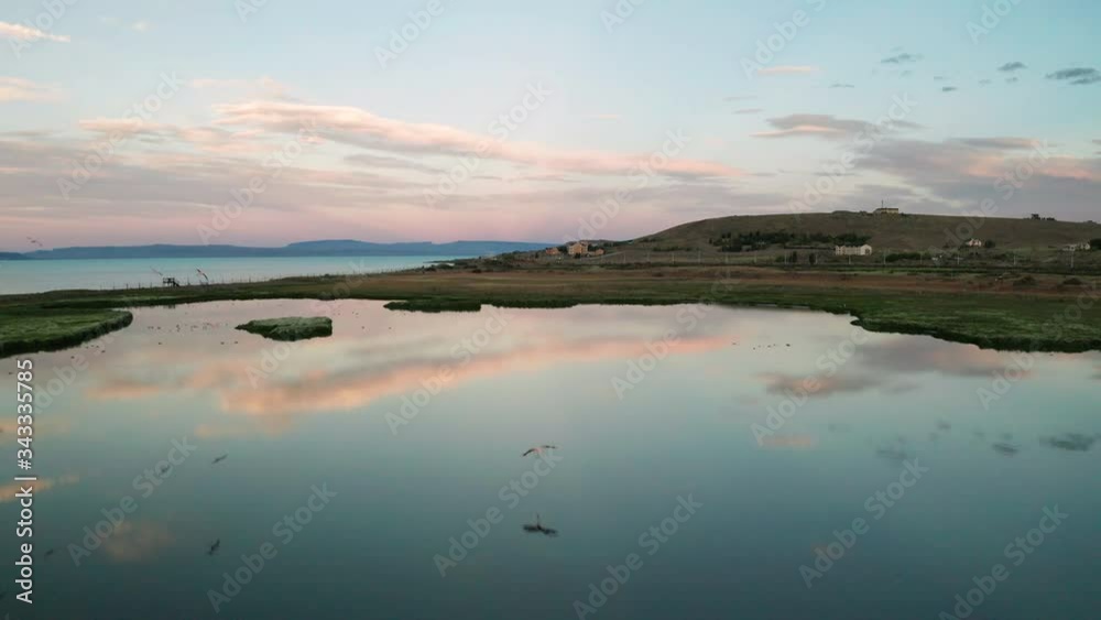 Aerial view of flamingos flying over the lake at dawn. Patagonia, Argentina, Lago Argentino Aerial view of flamingos flying over the lake at dawn. Patagonia, Argentina, Lago Argentino