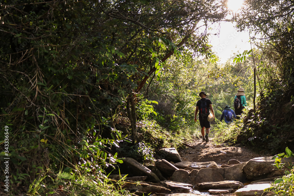 Fototapeta premium hiking in the mountains