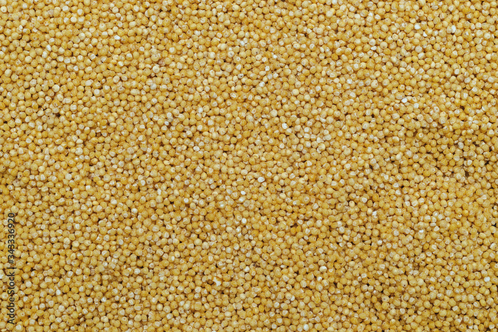 small yellow groats, background and texture small yellow groats, background and texture