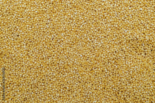 small yellow groats  background and texture