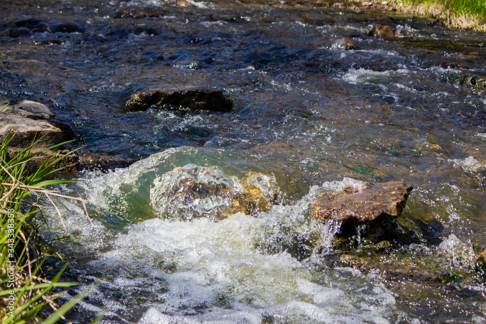 Small River in a Forest Small River in a Forest