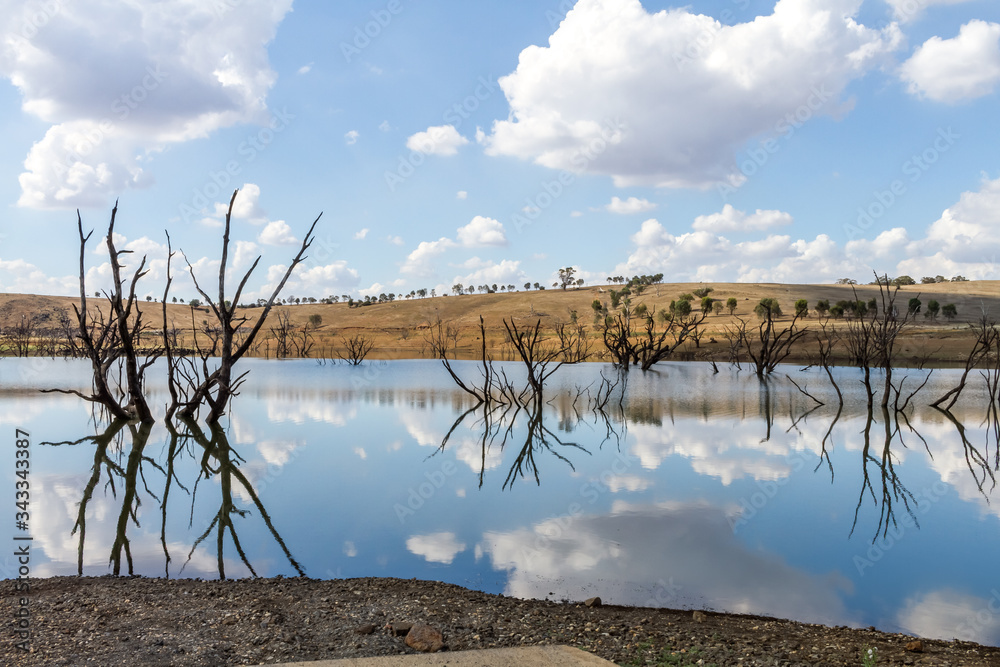 Lakeside landscape