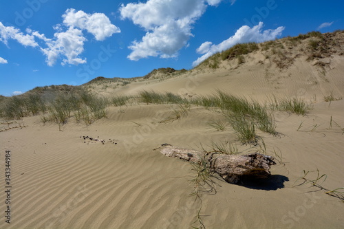 Fototapeta Naklejka Na Ścianę i Meble -  Sand dunes at 90 Mile Beach, New Zealand