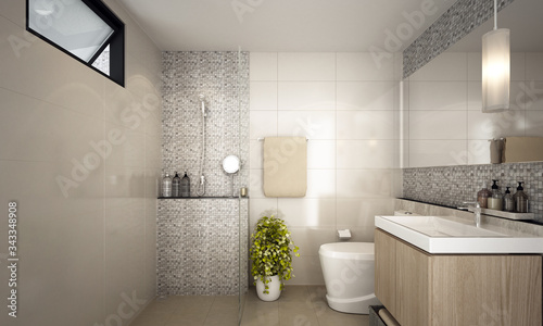 Modern interior design of toilet and bathroom 