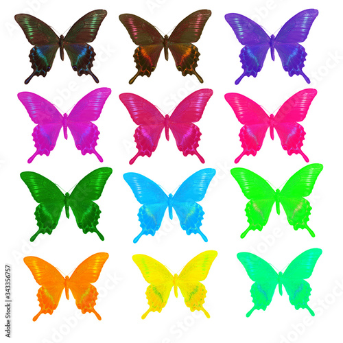 Color variations of a swallowtail butterfly on a white background.Isolated on white. Processed color photographs.