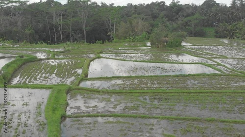 Aerial pan shot above the hypnotic rice terraces of Tetebatu village, Lombok, Indonesia photo