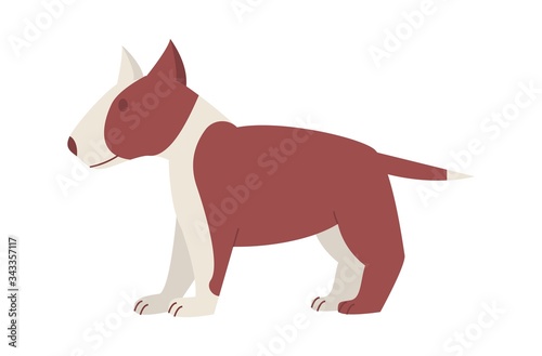 Bull terrier Dog Cute funny cartoon animal.