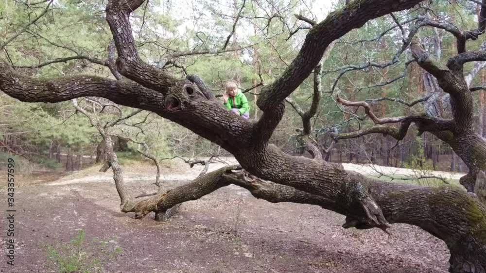 A girl sits on the branches of a large tree and waves a hand A girl sits on the branches of a large tree and waves a hand