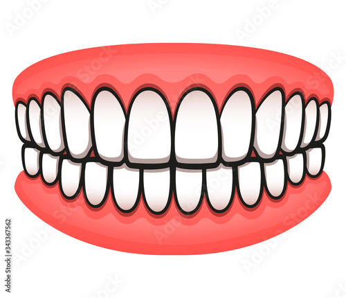 Vector teeth design isolated drawing