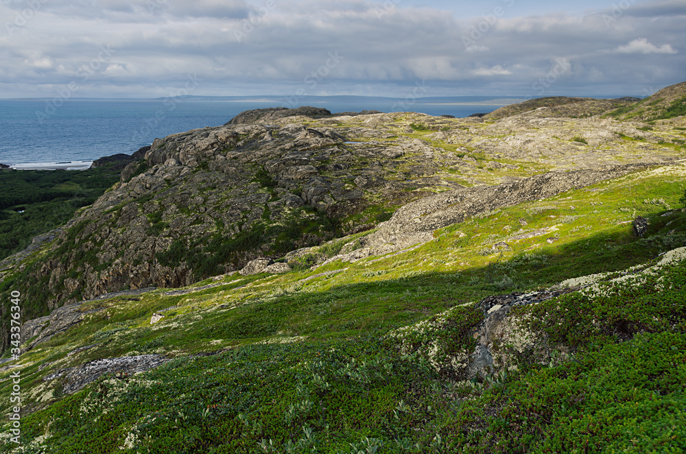 Blue north sea and bright green valley of tundra - view from granite highlands  in sunny day, arctic, Norway.