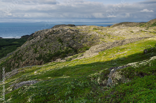 Blue north sea and bright green valley of tundra - view from granite highlands in sunny day, arctic, Norway.