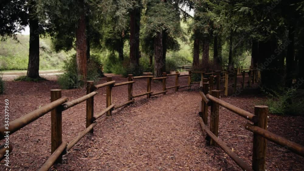 Steadily walking along a beautiful, redwood forest pathway from a human point of view. Steadily walking along a beautiful, redwood forest pathway from a human point of view.