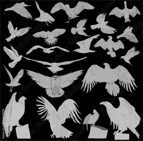 twenty two birds grey silhouettes on black background