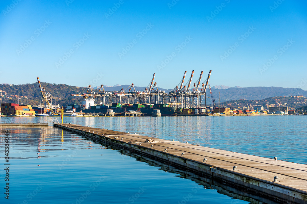 Commercial dock of La Spezia with container ship and cranes. Harbor in Liguria, Mediterranean sea, Italy, Europe