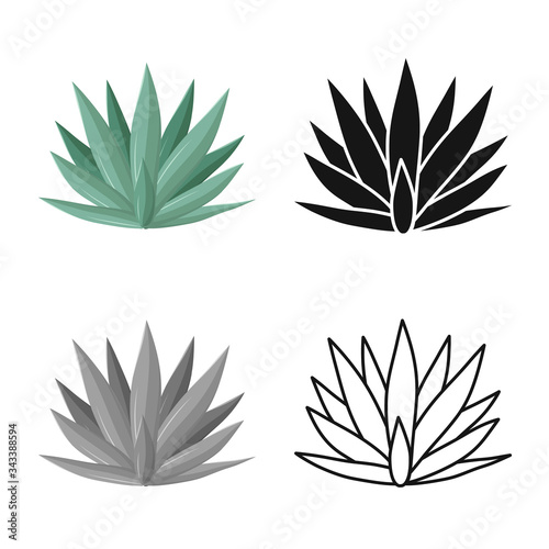 Isolated object of agave and tequila icon. Web element of agave and blue vector icon for stock. photo