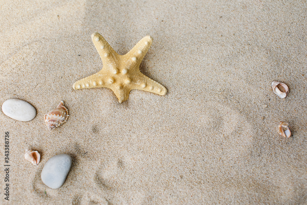 White sand with seashells and stones White sand with seashells and stones