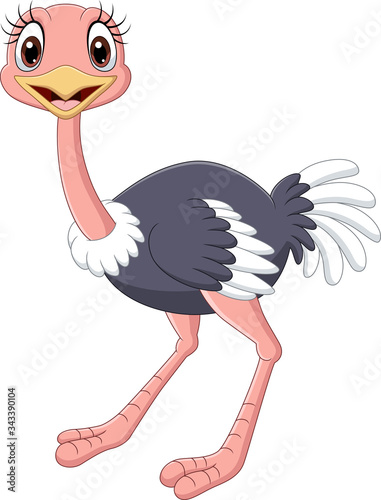 Cartoon baby ostrich isolated on white background
