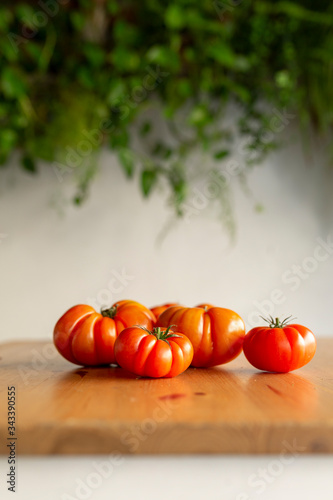 rebellion tomatoes