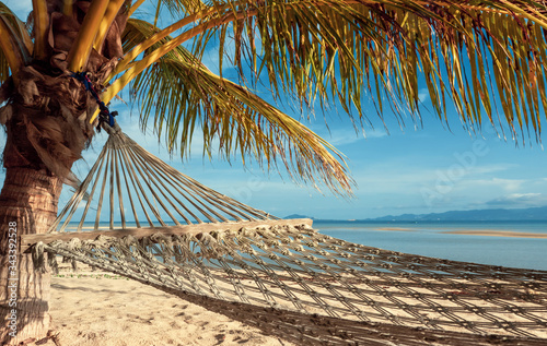 Hammock under a palm tree overlooking a tropical island